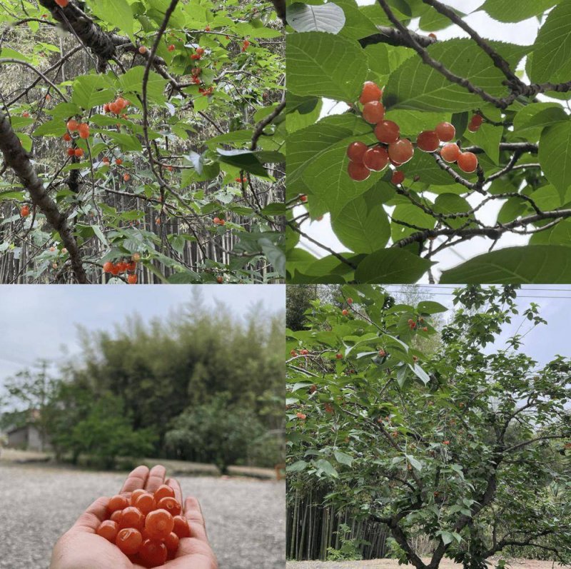 靠窗小吧台
！咖啡早餐+隐藏收纳，我家餐厅颜值翻倍了